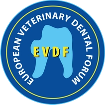 Forum Logo